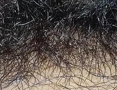 Handboy Masturbation After Frist Time