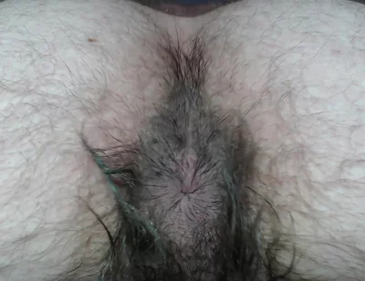 Cock Balls and Hairy Ass of Farts