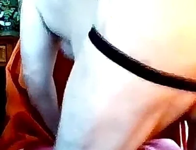 Bear Jerks off on Cam - Makes Verbal Bcc Cum While Watching!