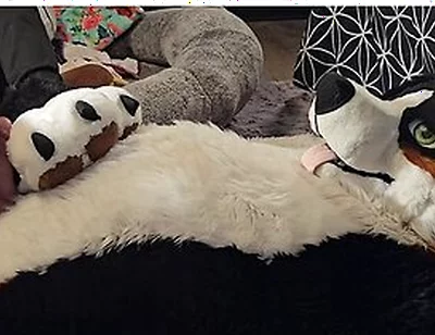 Pawslut Puppy Gets Back To Back Pawjobs With Massive 2nd Cumshot At The End