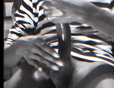 Wanna See a Full Video?