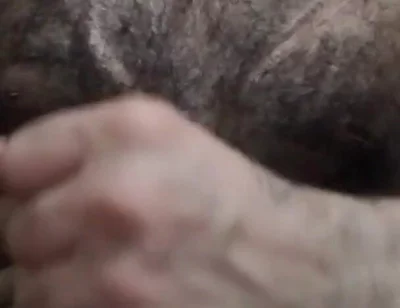 Hard Cock