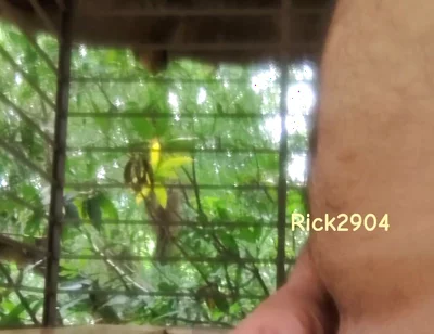 Playing with My Dick