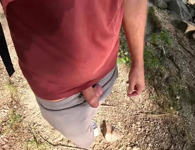 Surprise in the Foliage