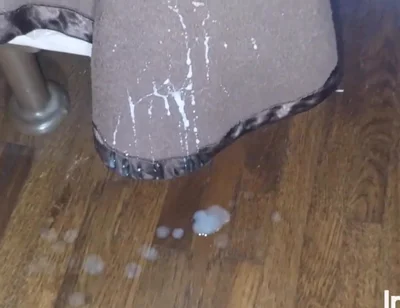 Wild Cumshot Compilation