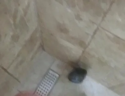 Masturbation Wash