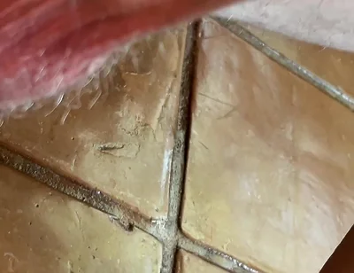 Dirty Talking Precum Covered Sloppy Cock