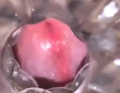 Close-up Cock in Tool for Masturbate Orgasm on Flash