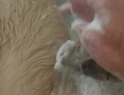 Bathroom Fun