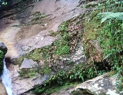On a Walk to the River - Masturbation and Outdoor Urination