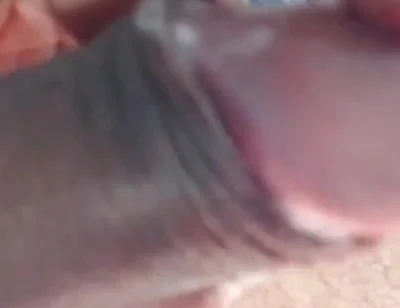 Macho Latin Stud Strips and Jerks His Uncut Cock for You
