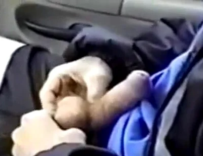 Big cock sucking huge cum load