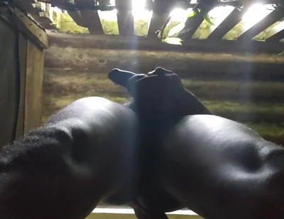 I Love to Play with My Balls and Black Dick