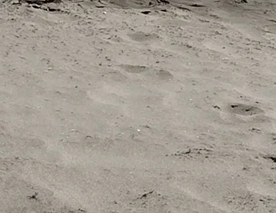 On the Beach Nude