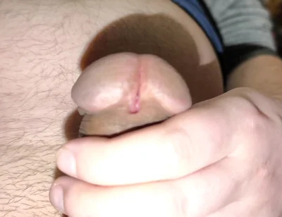 Real Close-up of a Mushroom Dick