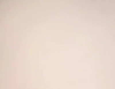 769 Big-assed, Busty Stepmomaccidental Anal Creampie?
