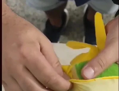 DIY Pussy