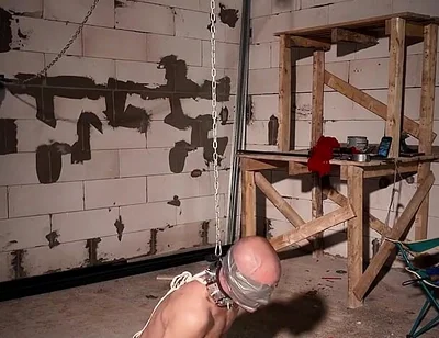 Zeus Tapegagged and Spikes Collar