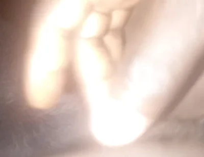 This How BBC Squirts Cum Flow