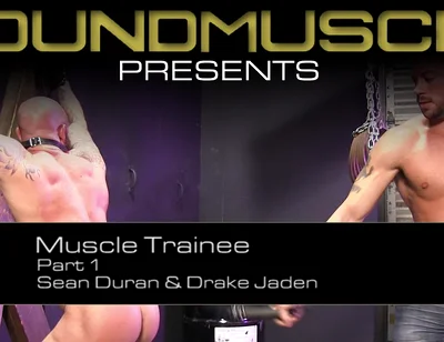 Muscle Trainee - Part 1