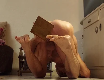 Fan Videos