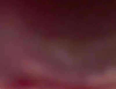 Your POV. Big Femboy Cock Right on Your Face