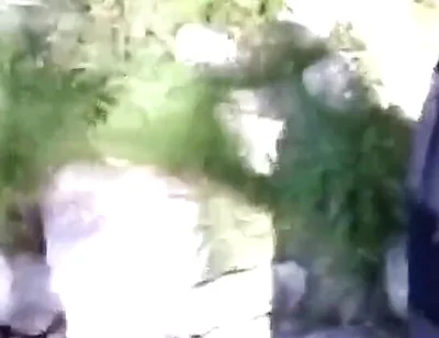 Jon Arteen Pissing Pee Outside. Twink Flirting in a Gay Cruising Park. Sexy Slim Boy in Adidas Sportwear