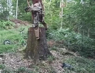 Stump Chase, Part One