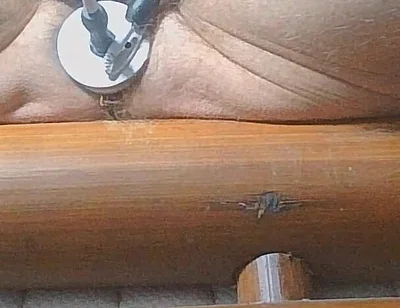 Long Edging