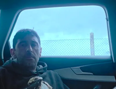 In Public, in the Car