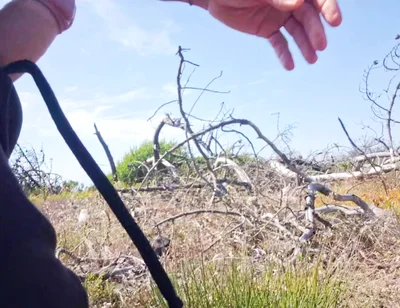 Masturbating My Big Cock on a Beach - Walking Excited