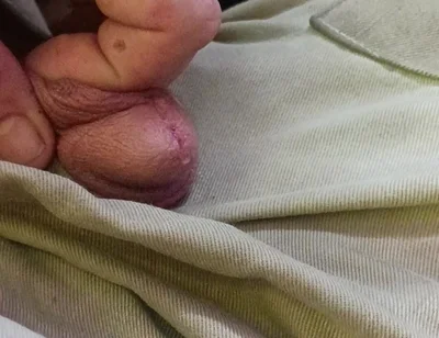 Piss Pig Fag Boy