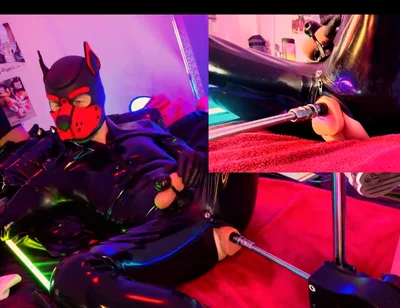 Nicolaus Rubber Show Mit Pup Maske