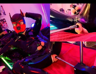 Doggy Rubber Show