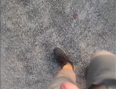 Went for a Walk at the Truck Stop