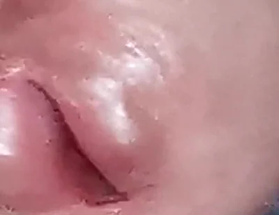 The Dick Growls at Its Owner