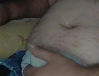 Horny Bear Is on Live