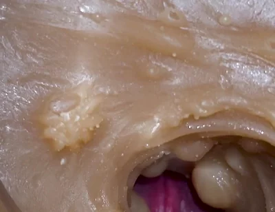 Camera Inside Deep Pussy Captures Cumshot