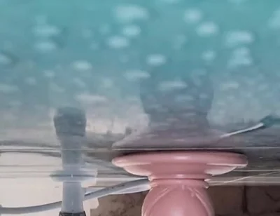 6 Inch Dildo Fucking My Hungry Assh