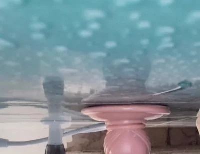 6 Inch Dildo Fucking My Hungry Assh