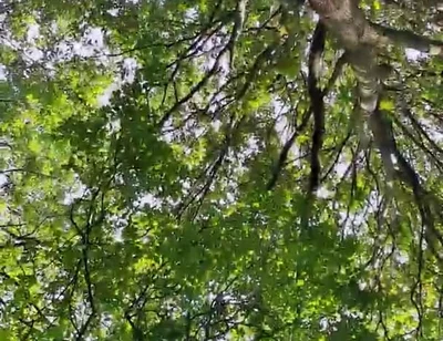 Slutboyben Cam4 Sexy Cruising Chick Iii Live Outdoor Exposure