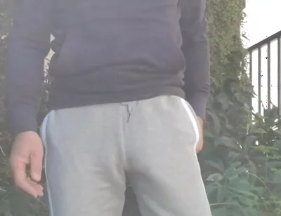 Bulge