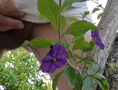 Watch Me Jerking off Outdoors While Hiding Behind a Tree