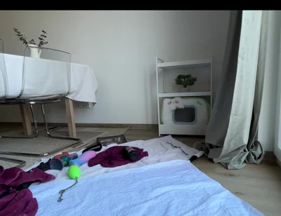 3729478190.mp4