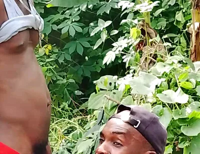 Big Cock Sucker
