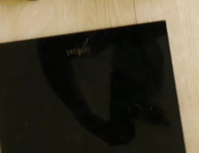 Weighing Your Black Fit Pony
