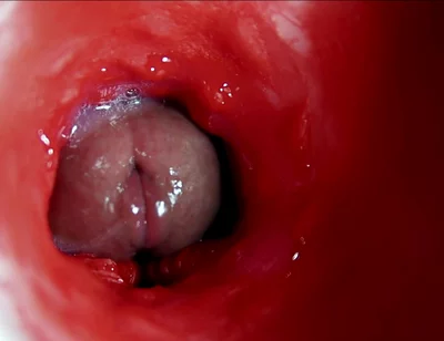 A Big Beautiful Cock Flows Abundantly Inside a Wet Slippery Hole and Smacks!
