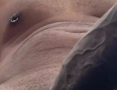 Cock Lovers. POV