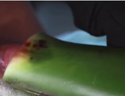 Jerking Off With Aloe Vera Ultil I Nut A Thick Load