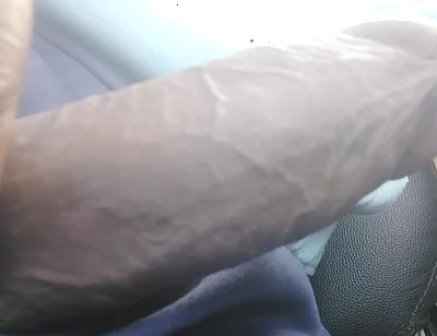 Most Wanted Cock